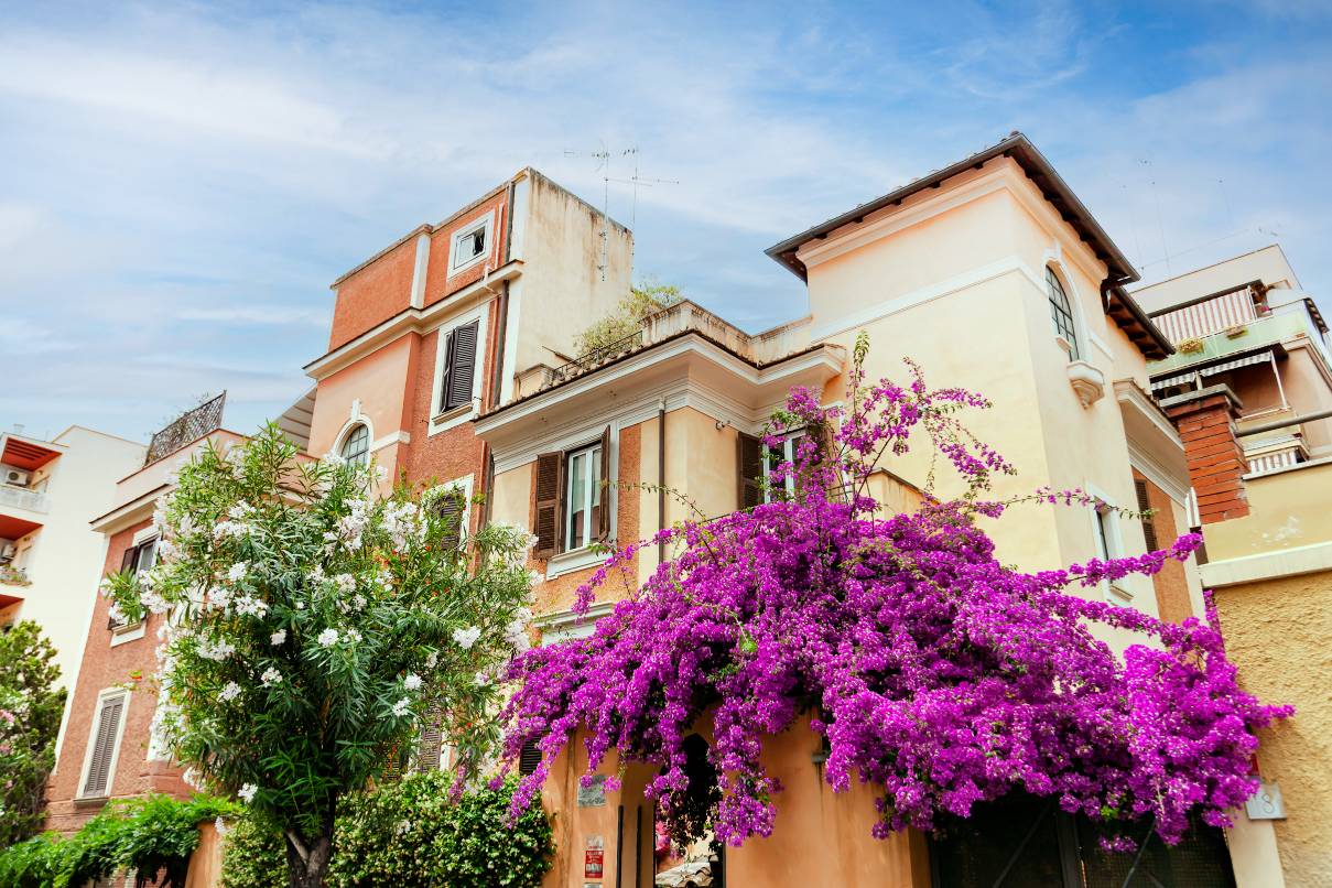 _MG_0726 – Copia