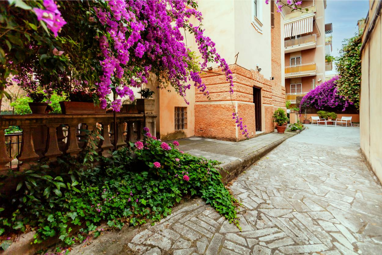 _MG_0728 – Copia